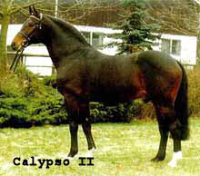 calypso_II (14K)
