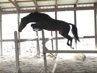 corcofrjump320a (51K)