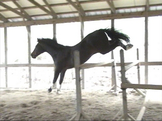 corcofrjump320c (53K)