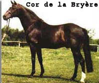 cordelabryere2 (11K)
