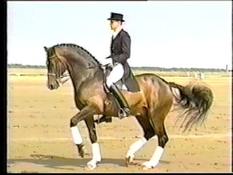 corianderpi2 (22K)