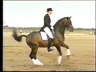 corianderpir (24K)