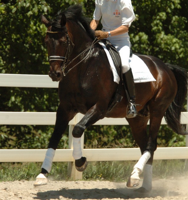 corregca (106K)