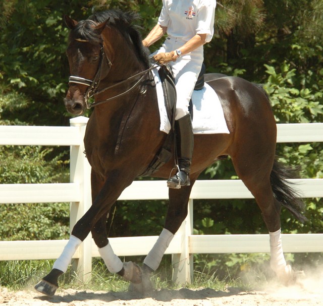 Corcovado trot (108K)